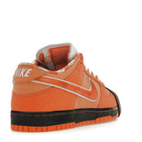 Nike Dunk SB Low Orange Lobster